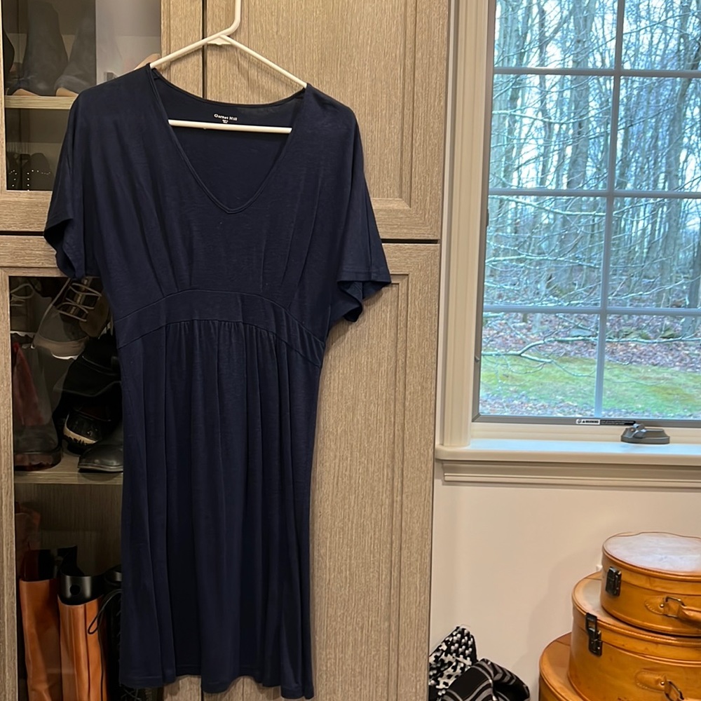 Garnet Hill blue jersey dress